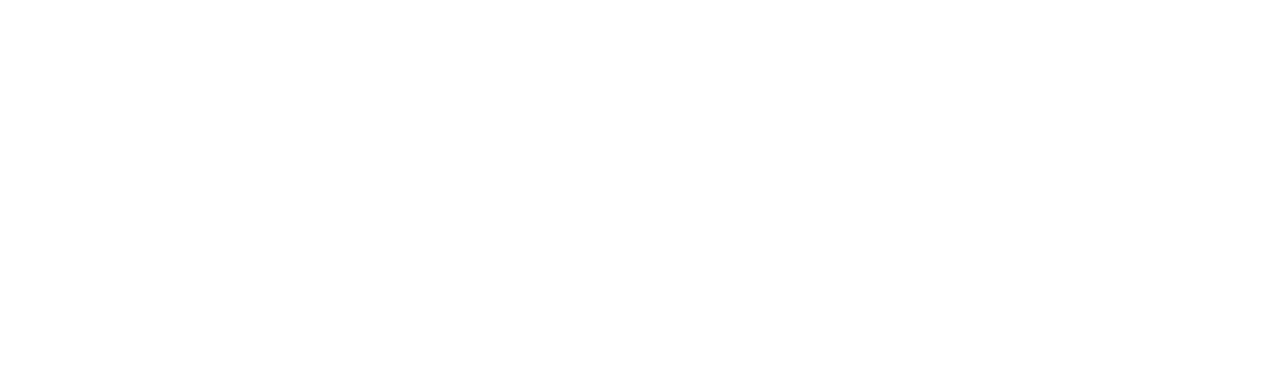 Sea turtles today and tomorrow logo