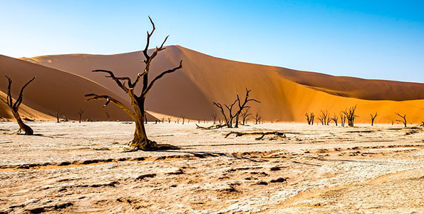 dry barren desert