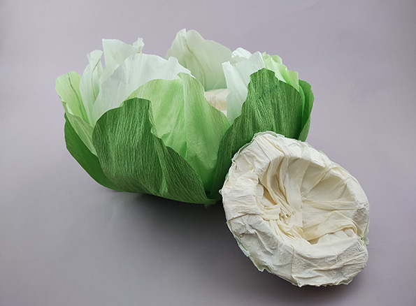 cabbage box open