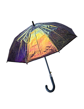 Metallic Umbrella
