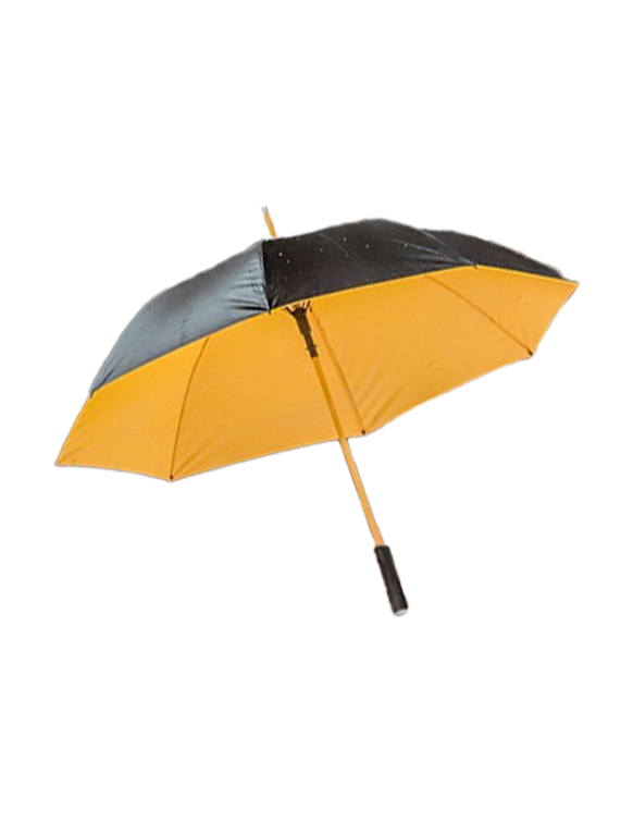 Two-Toned Umbrella