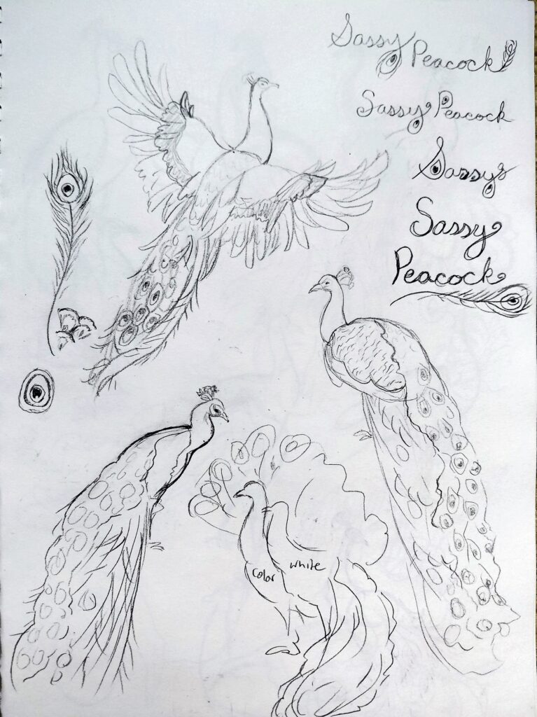peacock sketches page 3- realistic sketches