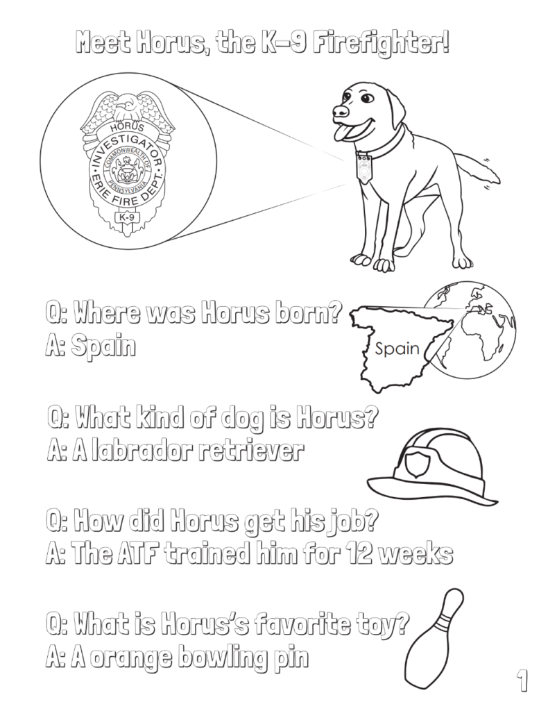 Coloring book page with a dog and facts about the dog